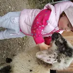 Panoramahof Gupf Farm stay *