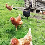 Panoramahof Gupf Farm stay