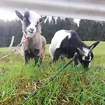 Farm stay Panoramahof Gupf *
