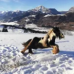 Panoramahof Gupf Farm stay