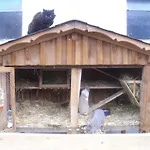 Panoramahof Gupf 그뢰브밍
