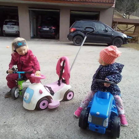 Bauernhof Panoramahof Gupf