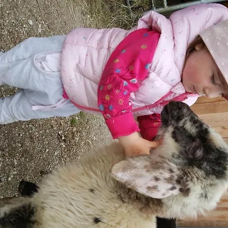 Panoramahof Gupf Farm stay *