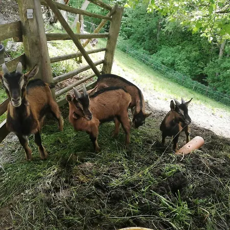 Séjour à la ferme Panoramahof Gupf Grobming