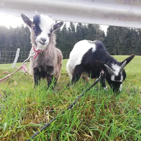 Séjour à la ferme Panoramahof Gupf *