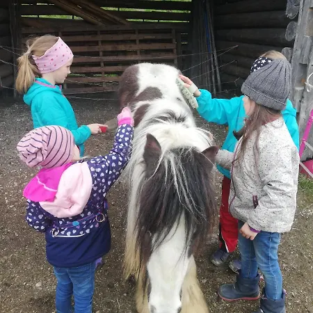 Panoramahof Gupf Bauernhof Grobming