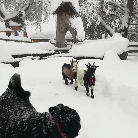 Feriegård Panoramahof Gupf