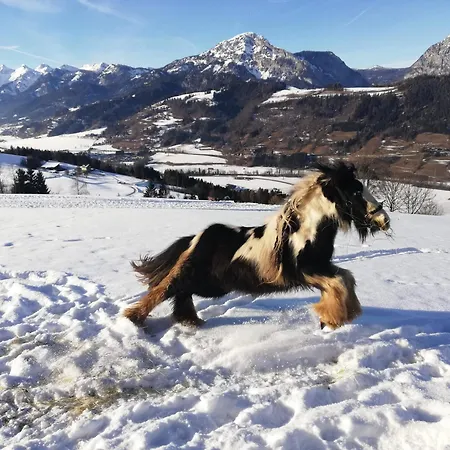 Panoramahof Gupf Alloggio per agriturismo