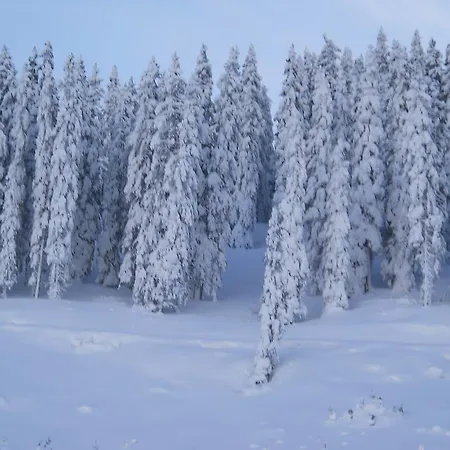 Panoramahof Gupf Alloggio per agriturismo