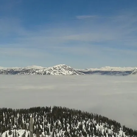 Bauernhof Panoramahof Gupf *
