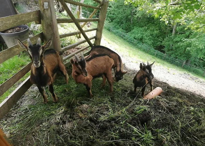 Vakantieboerderij Panoramahof Gupf Grobming