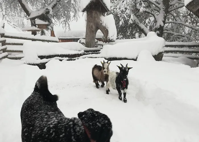 Vakantieboerderij Panoramahof Gupf