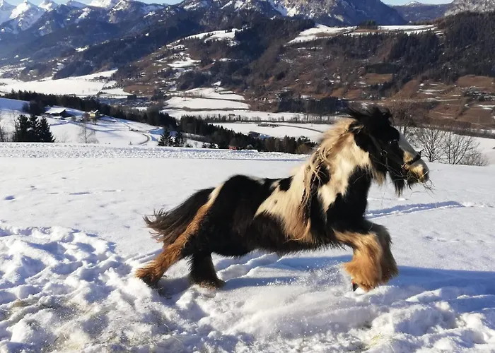 Panoramahof Gupf Vakantieboerderij