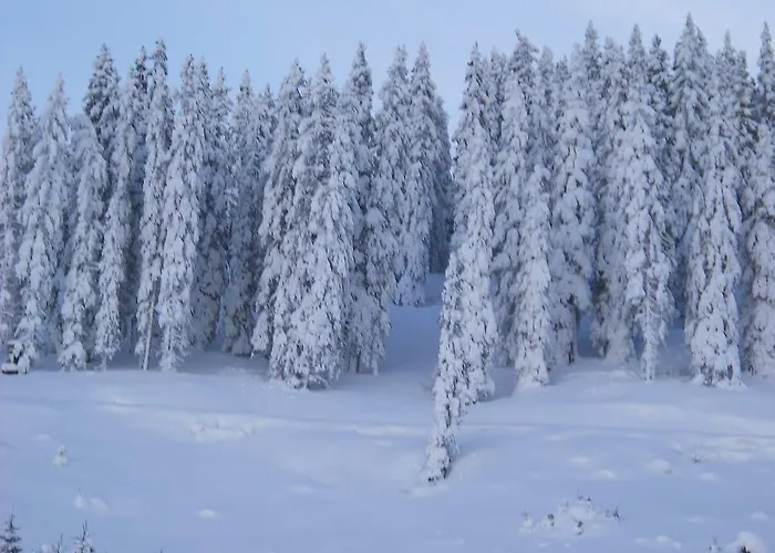 Panoramahof Gupf Farma