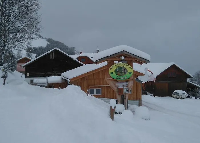 Vakantieboerderij Panoramahof Gupf