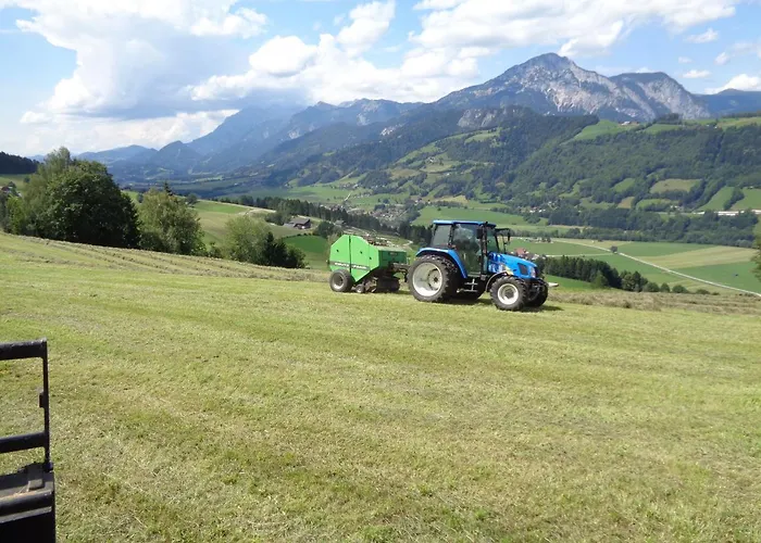 Panoramahof Gupf Grobming