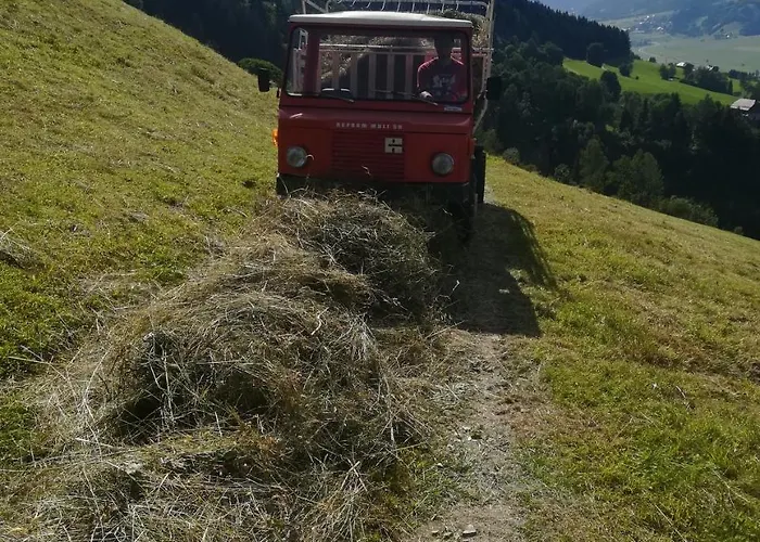 Panoramahof Gupf Farma *